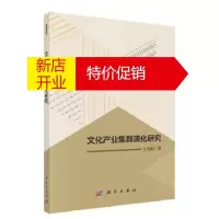 鹏辰正版文化产业集群演化研究 方永恒