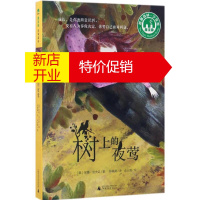 鹏辰正版树上的夜莺幼儿图书 早教书 故事书 儿童书籍 (美)尼基·洛夫廷 著;孙榕潞 译;么么鹿 绘