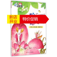 鹏辰正版哈,我隐身喽幼儿图书 早教书 故事书 儿童书籍 铁皮人科技 编著;魏雅婷 绘