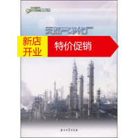 鹏辰正版天然气净化厂HAZOP分析指南 中国石油天然气集团公司安全环保与节能部 编