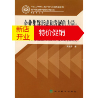鹏辰正版企业集群形成和发展的力量:企业、政府与中介机构—中山市大涌镇红木家具产业集群个案