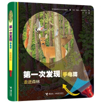 鹏辰正版第一次发现手电筒系列丛书 走进森林 3-6周岁儿童3D立体科普大百科全书小学一年级课外阅读物幼儿启蒙