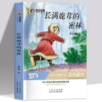 鹏辰正版百年经典儿童文学名家名作系列作品集-长满鹿茸的密林董宏猷阅读与鉴赏小学生课外阅读书籍三四五六年级课外