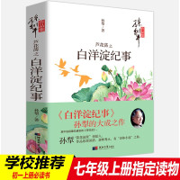 鹏辰正版芦苇荡之白洋淀纪事荷花淀初中生七年级上册推荐课外阅读书籍