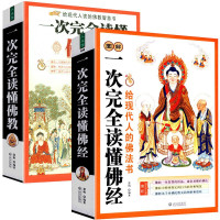 鹏辰正版正版全2册书籍 图解一次完全读懂佛教+佛经(全二册)学佛经佛学佛教入门基础知识 金刚经学禅宗论无量寿