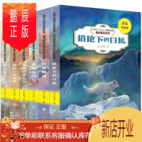 鹏辰正版沈石溪动物小说全集系列全套正版神风火烈鸟最后一头猛犸泣血鲸魂猎枪下的白狐孤独的半人马流星龙王沈石溪的书全套大