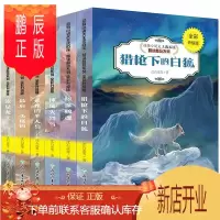 鹏辰正版沈石溪动物小说全集系列全套正版神风火烈鸟最后一头猛犸泣血鲸魂猎枪下的白狐孤独的半人马流星龙王沈石溪的书全套大