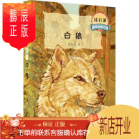 鹏辰正版MG正版 白狼-沈石溪激情动物小说 沈石溪 童书 中国儿童文学 动物小说 少年儿童出版社
