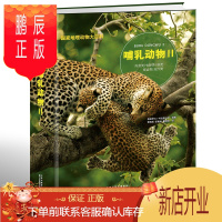 鹏辰正版哺乳动物Ⅱ 国家地理动物大百科 7-14岁青少年儿童科普百科书籍 小学生中学生课外知识阅读 哺乳动物