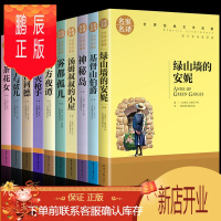 鹏辰正版全10册世界经典文学名家名译王子与贫儿汤姆叔叔的小屋神秘岛天方夜谭茶花女雾都孤儿三个枪手小学生必读