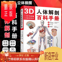 鹏辰正版3D人体解剖百科手册 人体解剖学彩色学图谱搭奈特人体解剖学彩色图谱教材书 西医解剖学外科医生用书医学