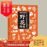 鹏辰正版野花图鉴野花的特征与识别 野生植物识别少儿自然科学科普读物 教儿童认识野生花草树木街边公园花草识别鉴