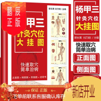 鹏辰正版正版 杨甲三针灸穴位大挂图 郭长青刘乃刚主编高清标准全身人体十二经络穴位图身体经脉按摩家用中医图解大