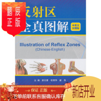 鹏辰正版反射区全真图解 郭长青 等 9787506761123 中国医药科技出版社