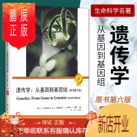 鹏辰正版遗传学-从基因到基因组 原书第六版 LH 哈特韦尔 等著 整合遗传学的概念 可视化遗传学 人类基因