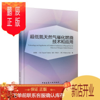 鹏辰正版超低氮天然气催化燃烧技术和应用