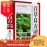 鹏辰正版百草良方彩色图鉴正版图解中草药中药材彩色图谱附偏方药方 中药材药方养生中医养生保健本草纲目中医学入门