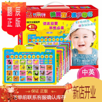 鹏辰正版阳光宝贝有声图书 儿童有声画板挂图点读机0-3-6岁宝宝学说话书籍儿童语言启蒙早教玩具看图识字发声书