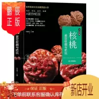 鹏辰正版核桃鉴赏收藏与把玩文玩核桃文玩入门基础知识百科收藏指南图画集书籍辨别把玩养护新手到行家艺术收藏