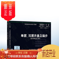 鹏辰正版S501-1~2 单层、双层井盖及踏步 正版