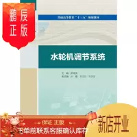 鹏辰正版水轮机调节系统 丁宏、马金生 9787517080343