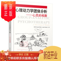 鹏辰正版万千心理·心理动力学团体分析—心灵的相聚 (英)哈罗德·贝尔(Harold Behr);武春艳 译
