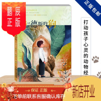鹏辰正版正版 打动孩子心灵的动物经典 佛兰德斯的狗 中国少年儿童出版社 英·奥维达 著 王家湘 译