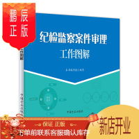 鹏辰正版纪检监察案件审理工作图解