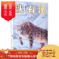 鹏辰正版动物小说大王沈石溪:残疾豹(注音读本)