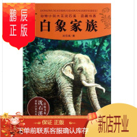 鹏辰正版白象家族动物小说大王沈石溪品藏书系列儿童读物图籍课外阅读