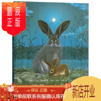 鹏辰正版再见，小兔子 （爱心树童书）