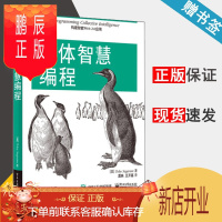 鹏辰正版 集体智慧编程 托比·西格兰 电子工业出版社