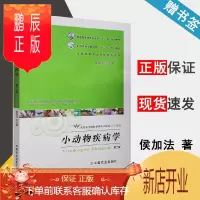 鹏辰正版 小动物疾病学 第二版 第2版 侯加法 中国农业出版社