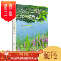 鹏辰正版正版 北大荒野花 于宝玲著 9787568923484 重庆大学出版社