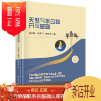 鹏辰正版正版 天然气水合物开采基础 宋永臣 9787030680174 科学出版社