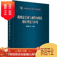 鹏辰正版正版 碳酸盐岩油气藏转向酸化酸压理论与应用 周福建等 9787030680334 科学出版社
