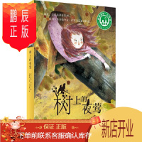 鹏辰正版正版 树上的夜莺 著者：〔美〕尼基洛夫廷者：孙榕潞 绘者： 9787549593071 广西师范大学