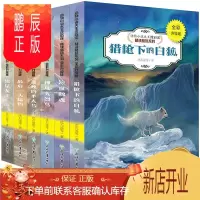 鹏辰正版沈石溪动物小说全集全套6册神风火烈鸟一头猛犸泣血鲸魂猎枪下的白狐孤独的半人马流星龙王沈石溪的书儿童文