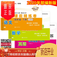 鹏辰正版交大之星 课后精练卷 语文数学英语N版 4年级下/四年级第二学期 上海小学教材课后同步配套练习单元综