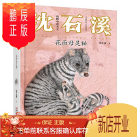 鹏辰正版正版 动物小说大王沈石溪 注音读本:花面母灵猫 沈石溪 浙江少年儿童出版社 97875