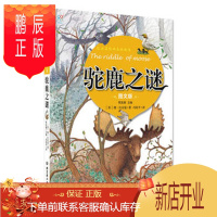 鹏辰正版正版 《比安基经典森林故事(图文版)——驼鹿之谜》 [苏]维比安·基,冯化平 北京理工