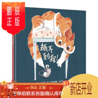 鹏辰正版正版 信谊世界精选图画书-抓不到我！ [英] 蒂莫西·纳普曼,[意] 西蒙娜·希洛罗