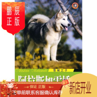 鹏辰正版阿拉斯加雪橇犬:雪域之子吴东霖家居9787536943490 犬驯养阿拉斯加雪橇犬