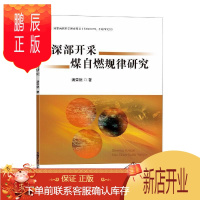 鹏辰正版深部开采煤自燃规律研究潘荣锟工业技术9787564645724 煤炭自燃研究普通大众