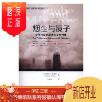 鹏辰正版烟尘与镜子:空气污染的政治与文化视角梅勒尼·迪普伊科学与自然9787564224820 空气污染研究