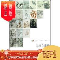 鹏辰正版拉斐尔素描-中国高等艺术院校教学范本人民美术出版社绘画9787102058450