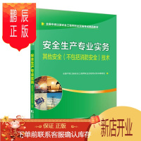 鹏辰正版安全生产专业实务--其他安全(不包括消防安全)技术王菲考试9787509216972 安全生产资格考