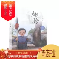 鹏辰正版翅膀马寻文学9787571608750