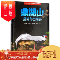 鹏辰正版正版 鼎湖山常见鸟类图鉴范宗骥广东科技出版社9787535972521 科普读物