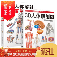 鹏辰正版套装2册 3D人体解剖图+3D人体解剖百科手册 人体解剖学彩色学图谱人体解剖学入门书西医解剖学外科